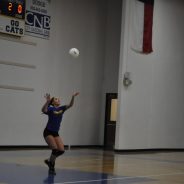 Game Day: Lady Cat Volleyball; Wildcat Team Tennis