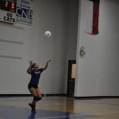 Game Day: Lady Cat Volleyball; Wildcat Team Tennis