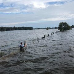 NETBIO Requests Local Help To Assist South Texas Ranchers in Need