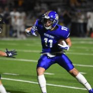 Wildcats Named to All-District Team