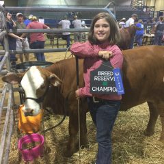 Mayhew’s “Esperanza” Named Reserve Champion in Breed at Fall Festival Livestock Show