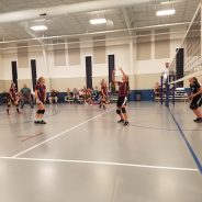 CHESS Knights Volleyball Sweep Grayson Academy