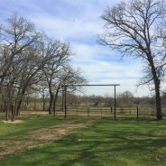 Farm Service Agency: Pasture and Hay Acreage Reporting Deadline; Loans for Under-Served Producers