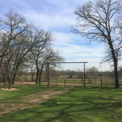 Farm Service Agency: Pasture and Hay Acreage Reporting Deadline; Loans for Under-Served Producers