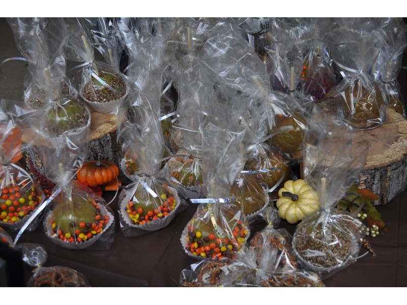 Arts & Craft show 22
