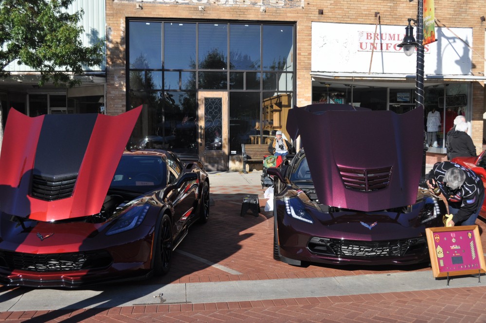 Corvette Show 201710