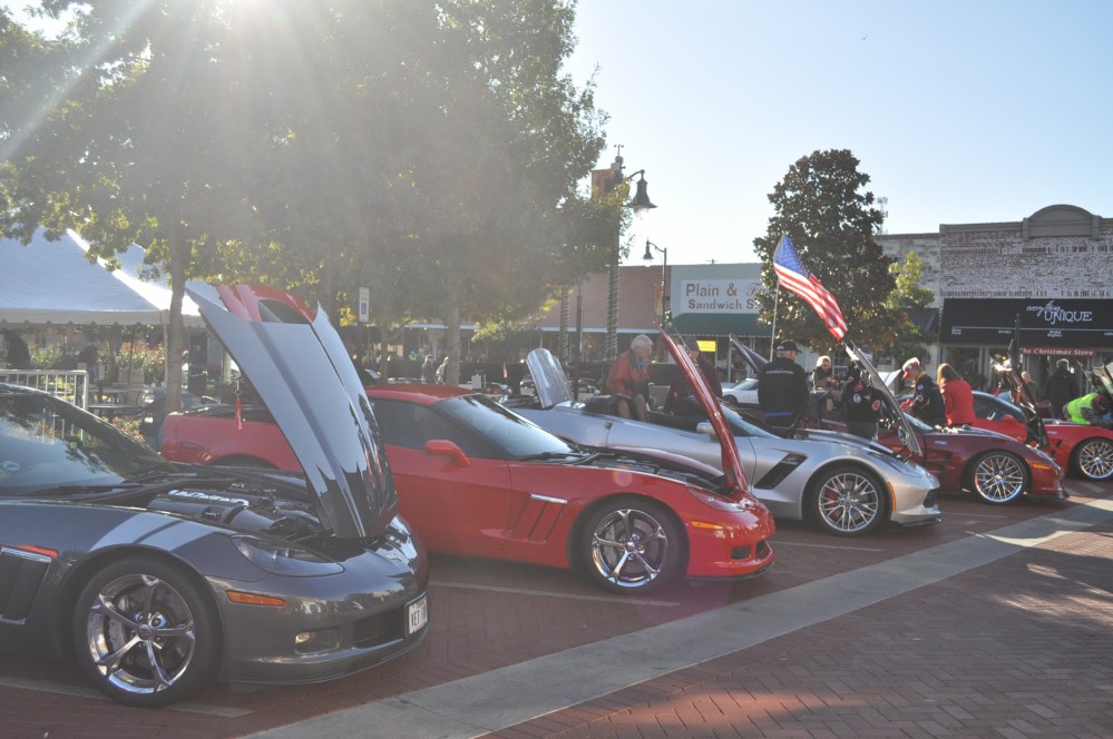 Corvette Show 20178