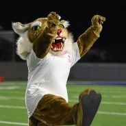 Non-Game Day: Wildcats, Lady Cats Off Tonight