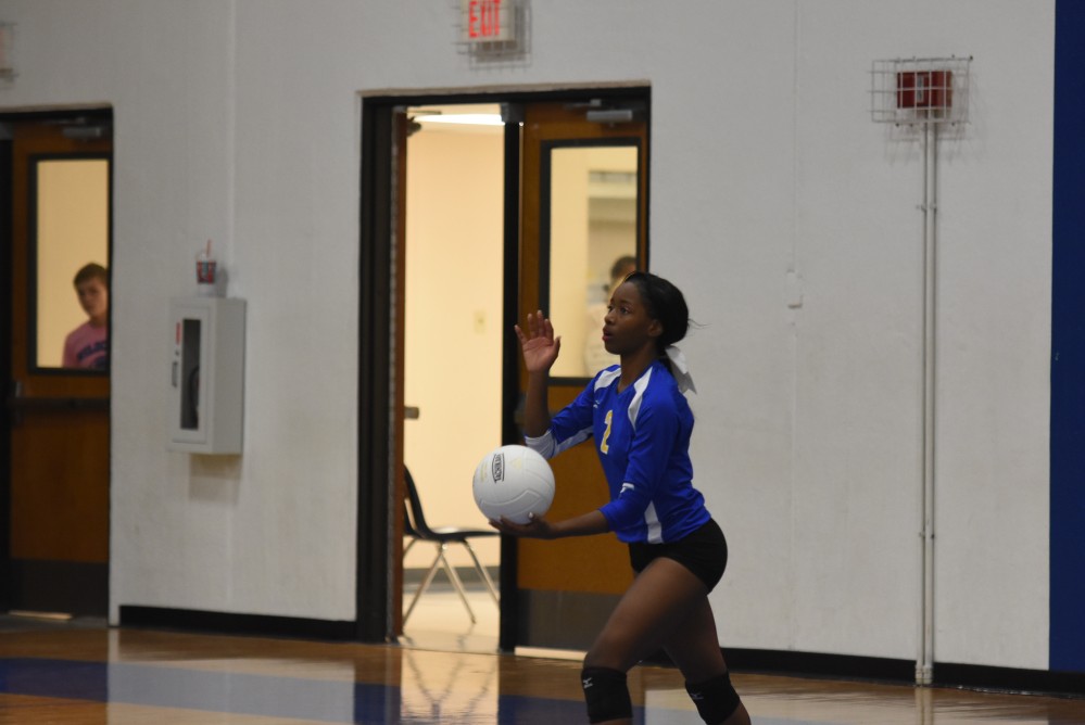 Lady cats Volleyball1
