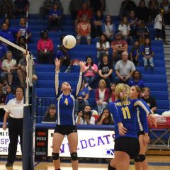 Game Day: Lady Cats Face Lady Pirates at Pine Tree