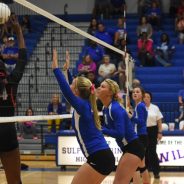Lady Cats Face Pine Tree Tuesday Following Big Win Against Texas High Last Friday
