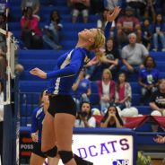 Lady Cats in Bi-District Play As District’s Number 1 Play-off Seed