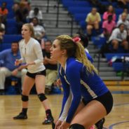 Game Day: Lady Cats Volleyball in Bi-District Match