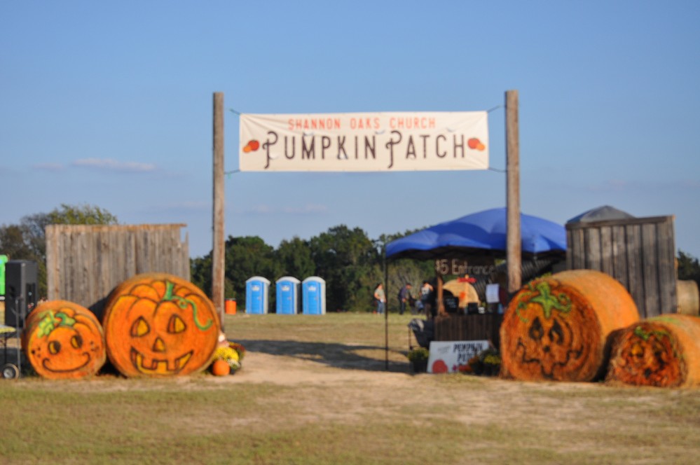 Shannon Oaks Pumpkin Patch1