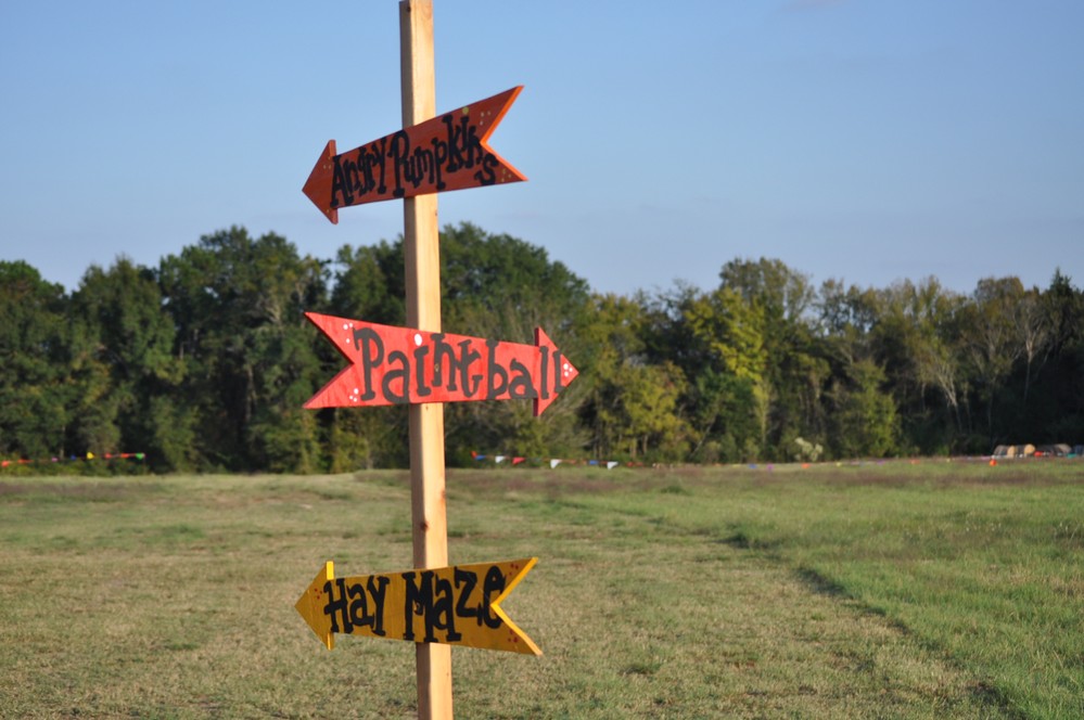 Shannon Oaks Pumpkin Patch10