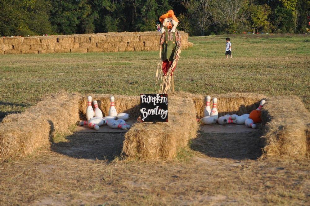 Shannon Oaks Pumpkin Patch11