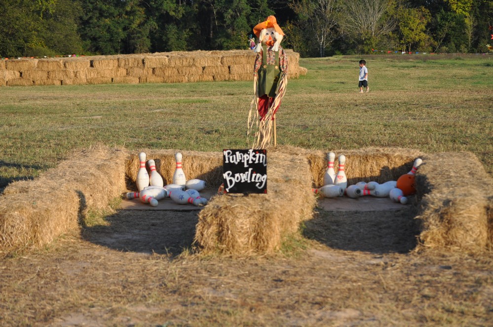 Shannon Oaks Pumpkin Patch11