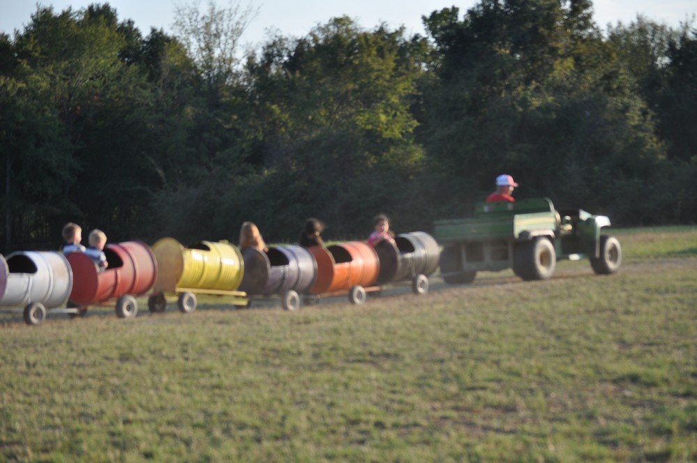 Shannon Oaks Pumpkin Patch13