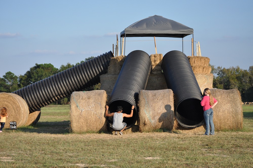 Shannon Oaks Pumpkin Patch2