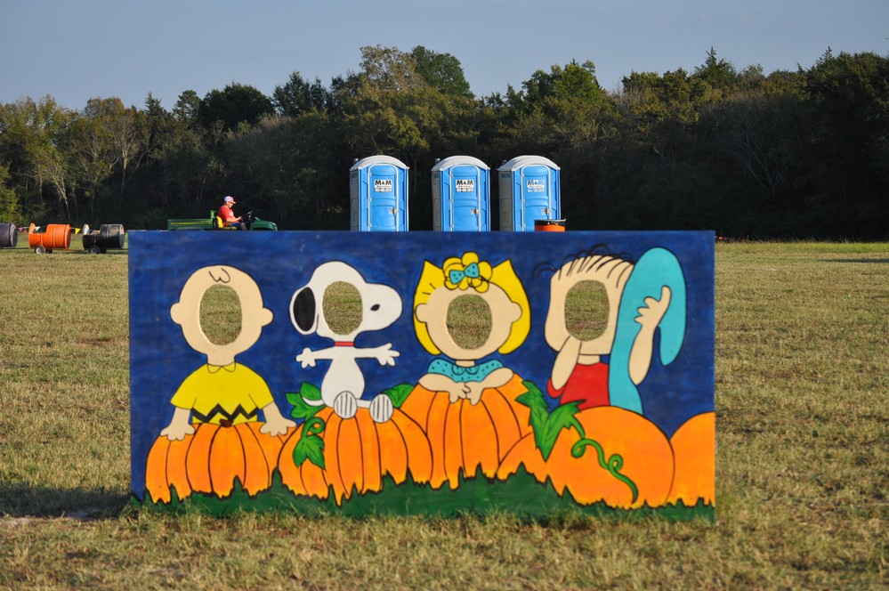 Shannon Oaks Pumpkin Patch4