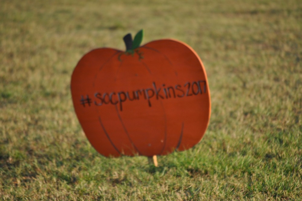 Shannon Oaks Pumpkin Patch5