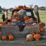 Now is the Time To Plant Halloween Pumpkins