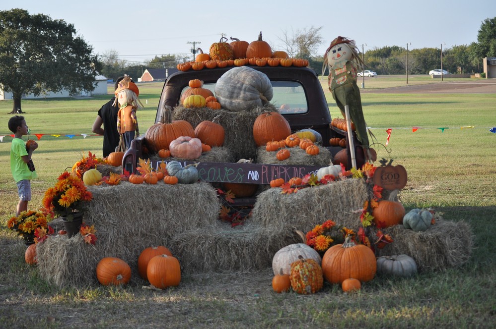 Shannon Oaks Pumpkin Patch6