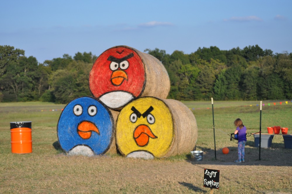 Shannon Oaks Pumpkin Patch8