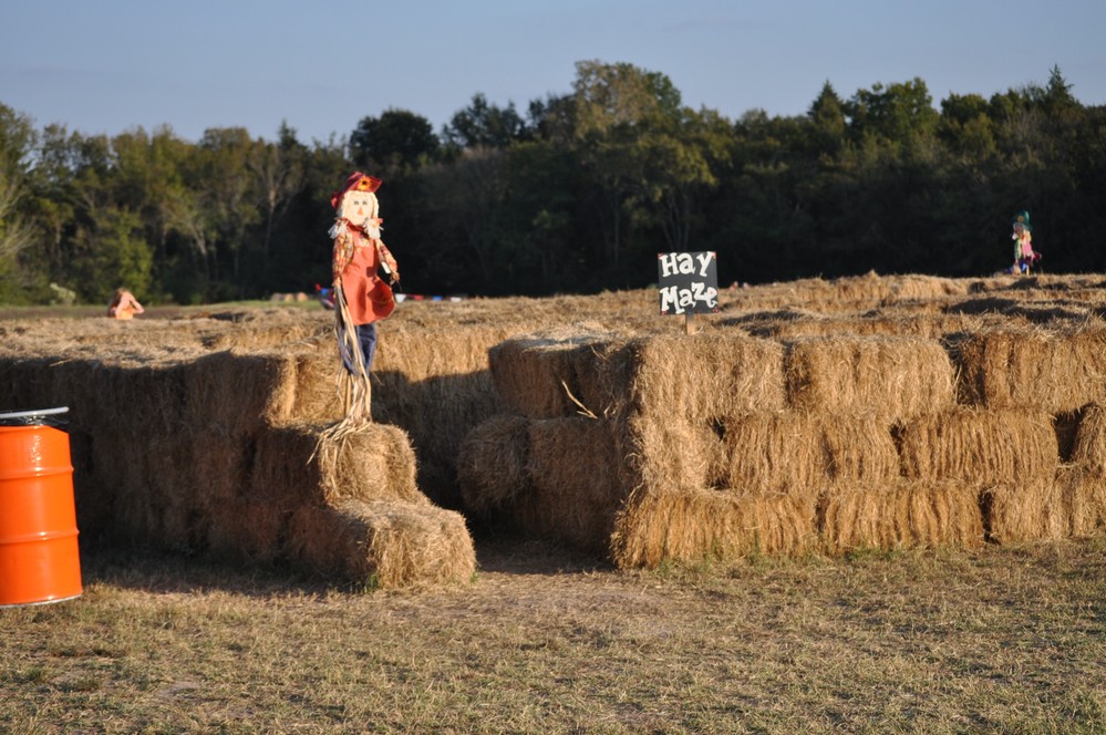 Shannon Oaks Pumpkin Patch9