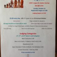 Church of Nazarene Hosts Dog Show for Charity