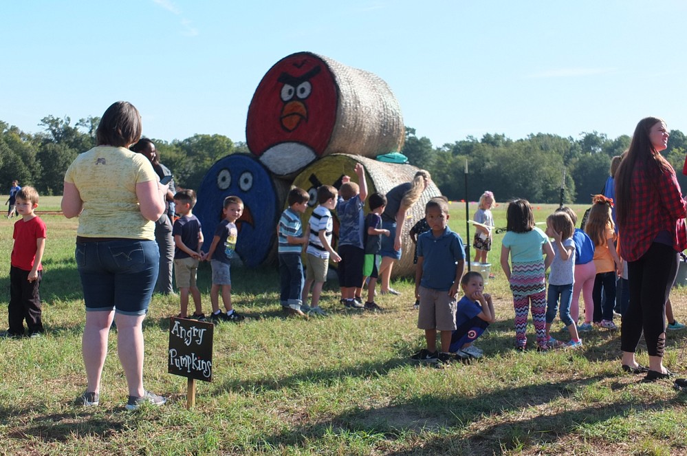 pumpkinpatch 8