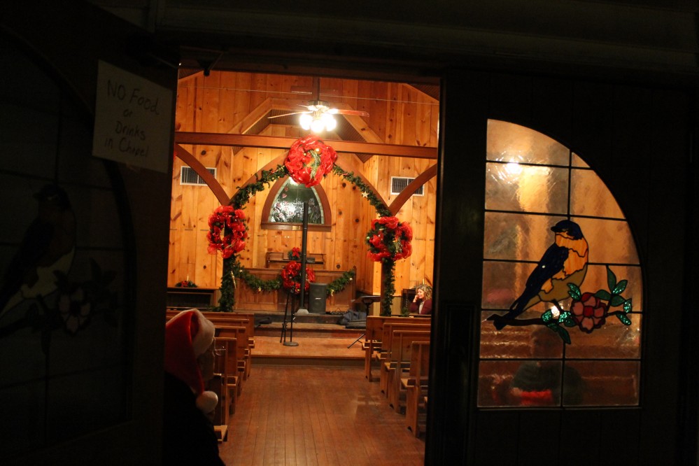 2017Christmas in the Park72