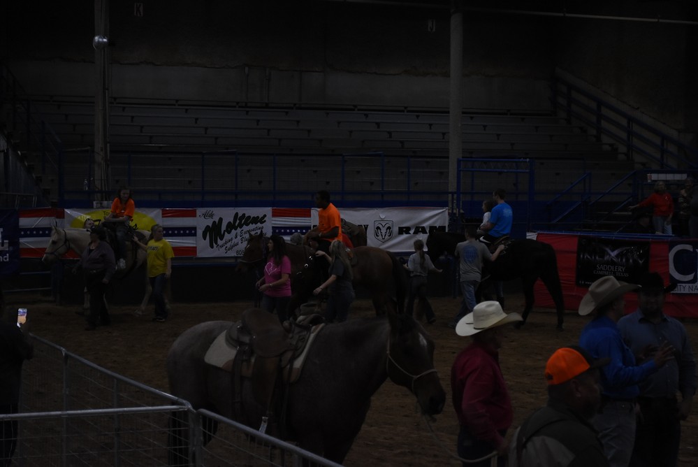 Civic Center Handicap Rodeo 1