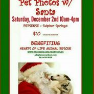 Pet Photos With Santa Benefits Hearts of Life