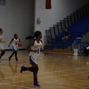 Lady Cat Basketball Play Frisco Lone Star Area Game Thursday Night