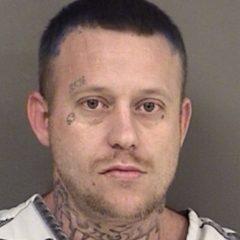 Two Arrested After Causing Alarm to Homeowner