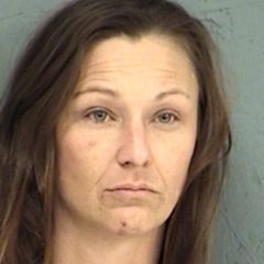 Expired Registration Leads to Greenville Woman Resisting Arrest; Possesses Illegal Narcotics
