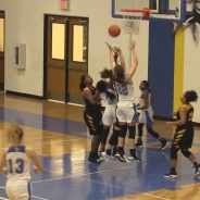 Lady Cats Overwhelm Lady Tigers 68-33
