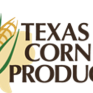 Board Member Election for Texas Corn Producers Begins Monday, January 15