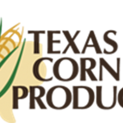 Board Member Election for Texas Corn Producers Begins Monday, January 15