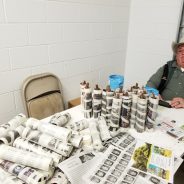 Sheriff’s Office To Sell Royal Empress Trees; A Partnership with Texas Agri-Life Extension