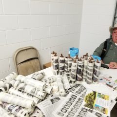 Sheriff’s Office To Sell Royal Empress Trees; A Partnership with Texas Agri-Life Extension