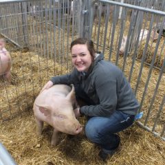 Hopkins County Junior Market Show : Final Results and Sales