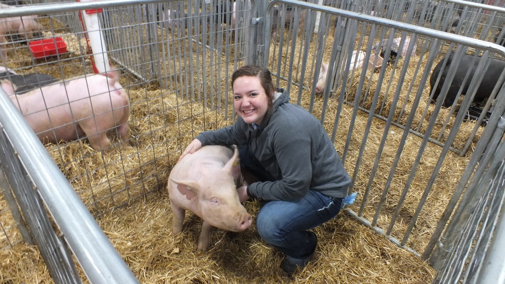 NH Jr livestock show 12