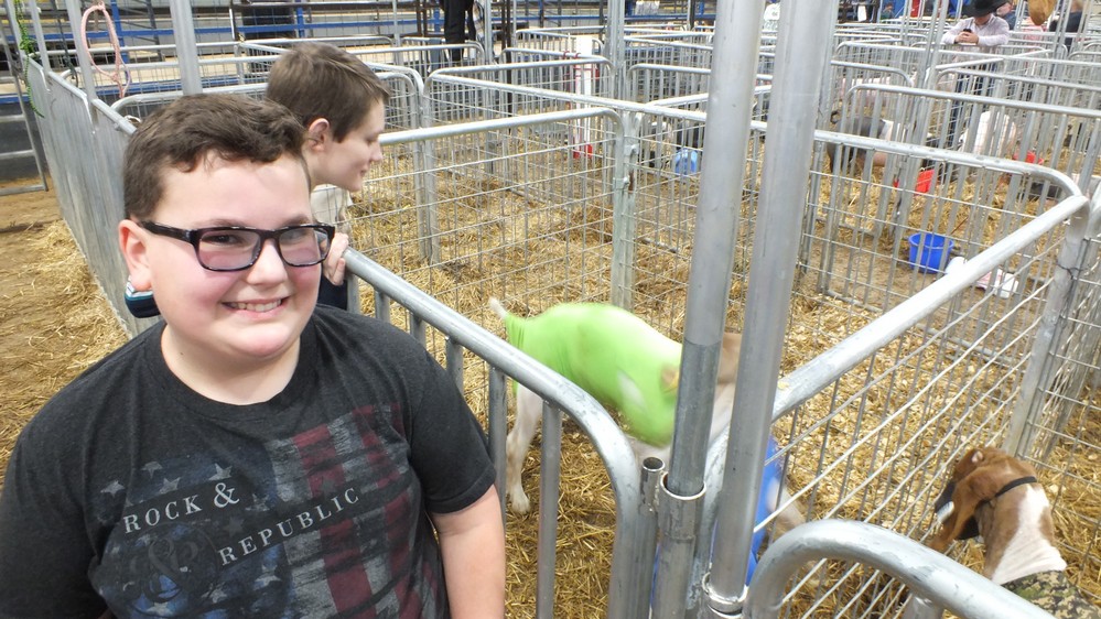 NH Jr livestock show 14