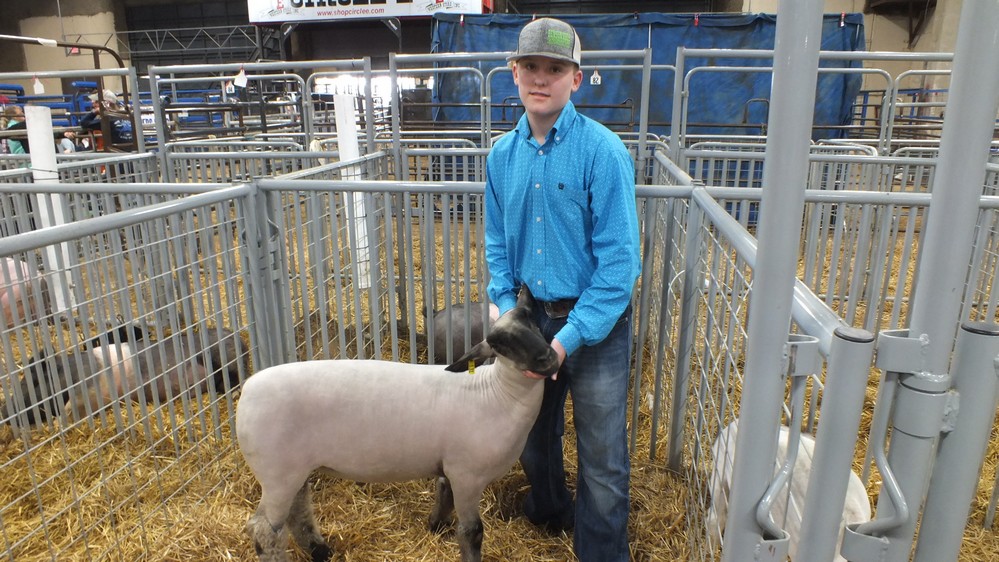 NH Jr livestock show 15