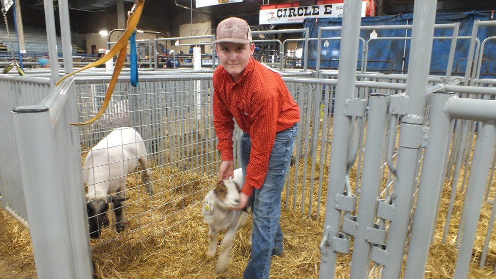 NH Jr livestock show 16