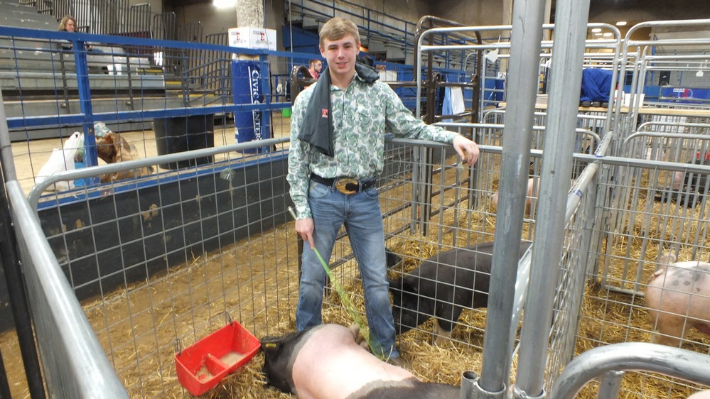 NH Jr livestock show 18