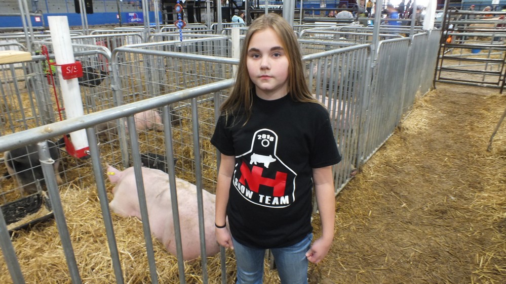 NH Jr livestock show 19