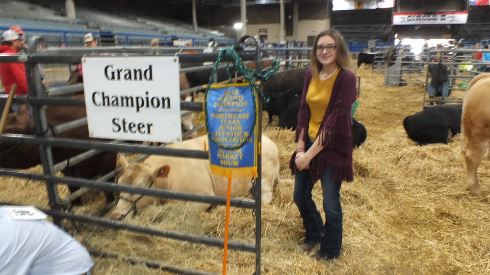 NH Jr livestock show 28